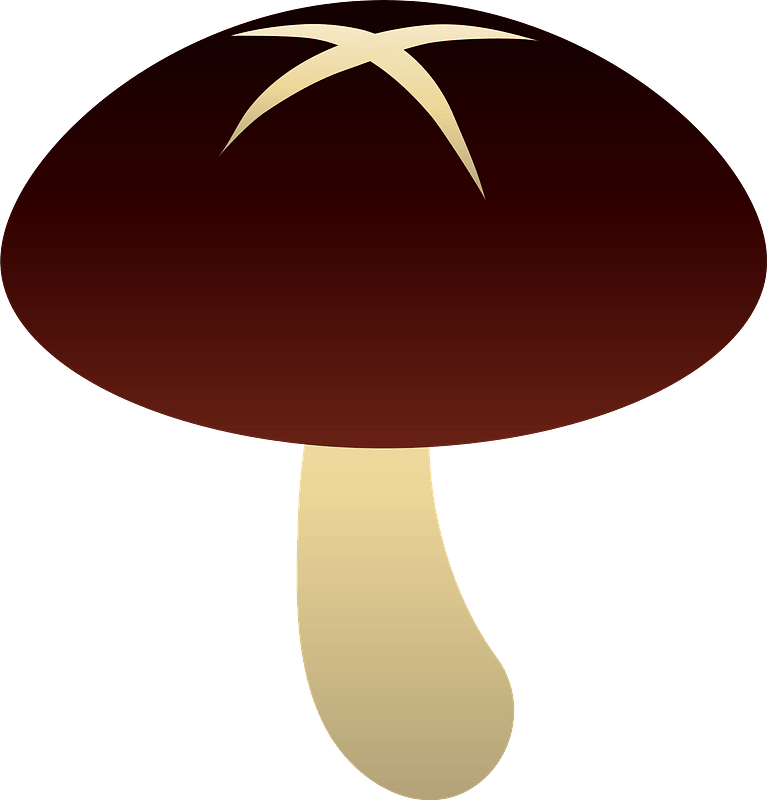 Shiitake Mushroom