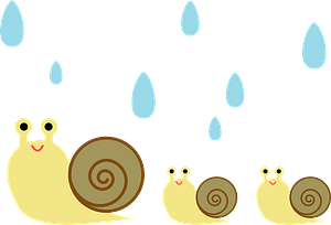 Snails in the Rain
