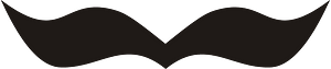 二撇雞