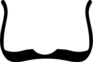 二撇雞