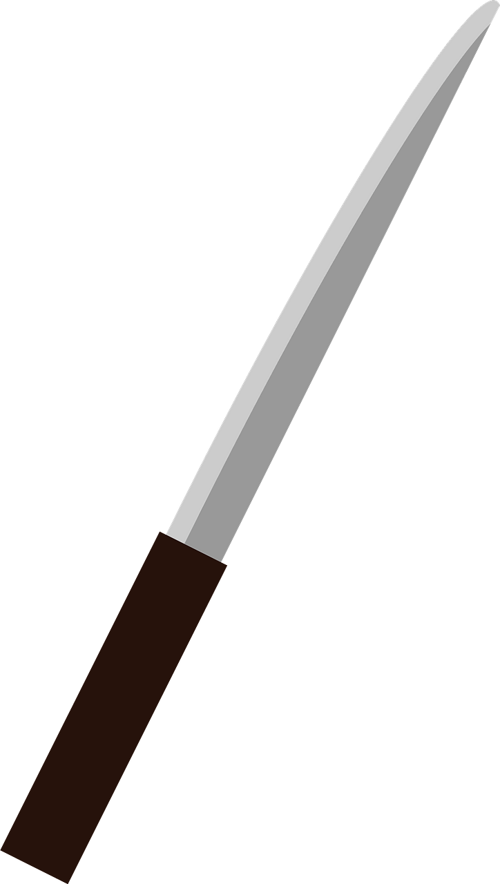 Tanto Japanese Sword