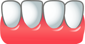 Teeth and Gums