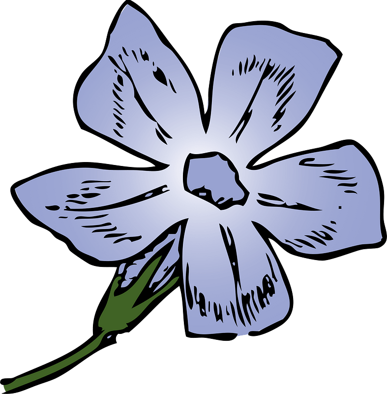 Periwinkle