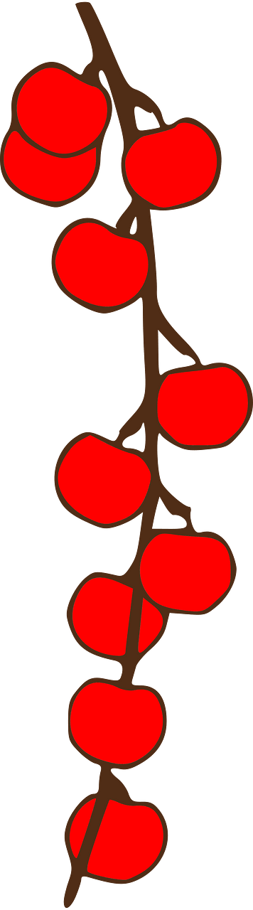 Apple Branch