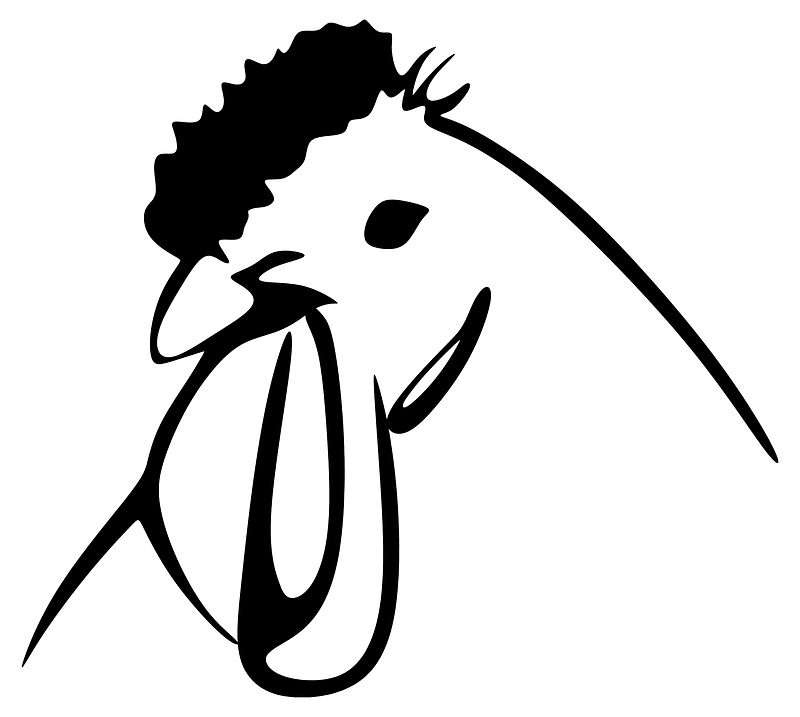 Stylized Chicken Line Art