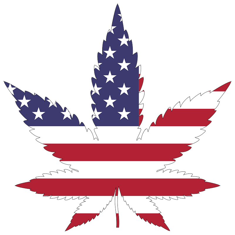 Marijuana American Flag with Stroke