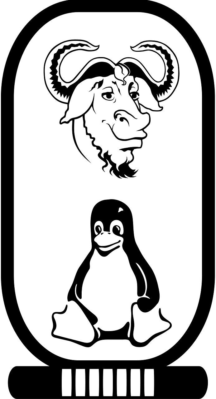 GNU Linux cartouche