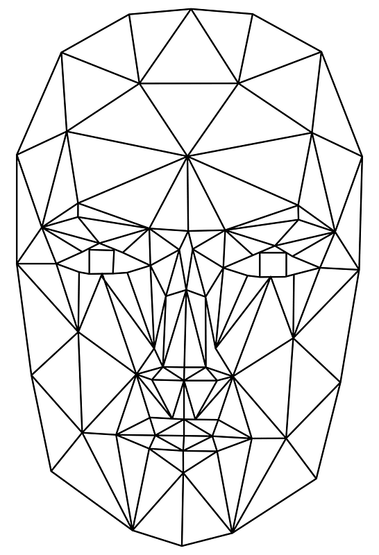 Wireframe Head