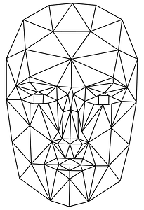 Wireframe Head