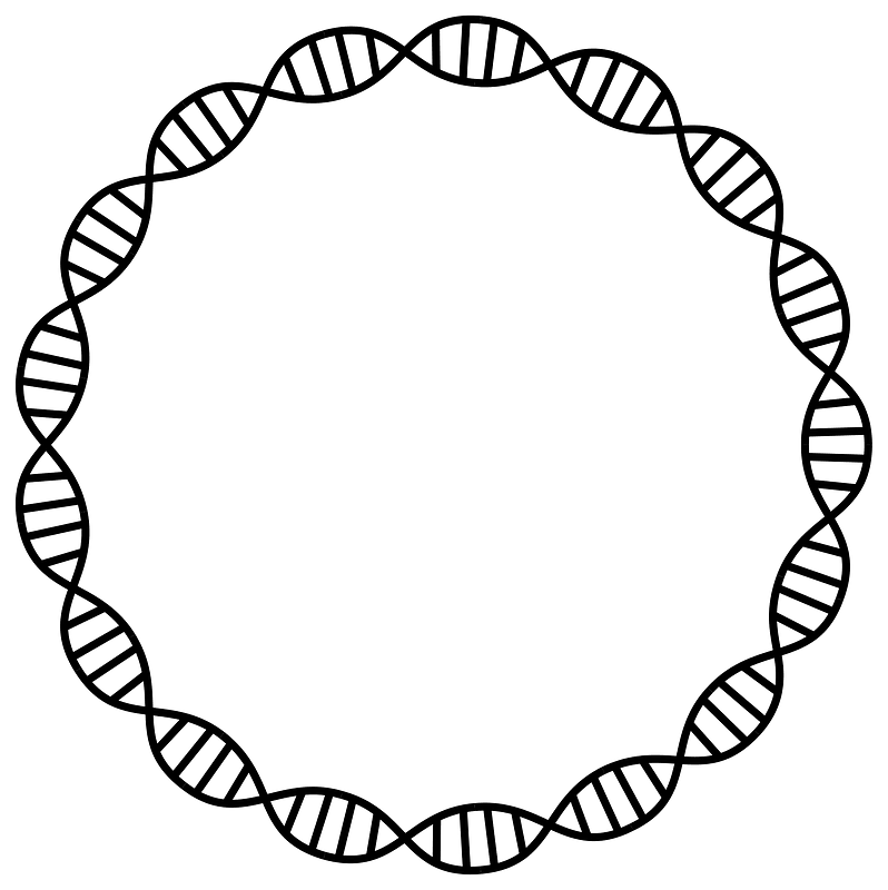 Dna Helix Frame