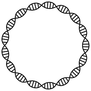 Dna Helix Frame