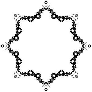 Flower Frame Extrapolated