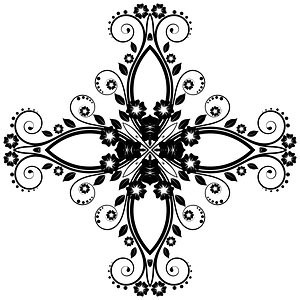 Flower Frame Extrapolated