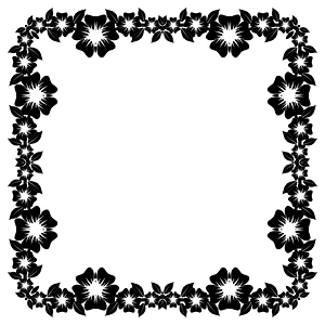Flower Frame Extrapolated