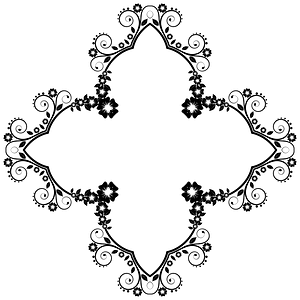 Flower Frame Extrapolated