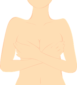 Upper Body of a Woman