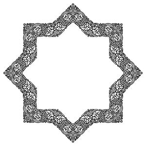 Grapevine Frame Extrapolated 5