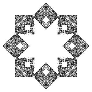Grapevine Frame Extrapolated 7