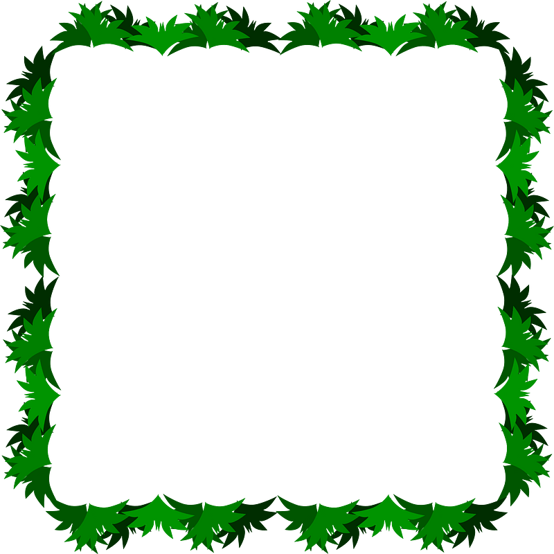 Photo Frame Grass
