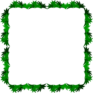 Photo Frame Grass