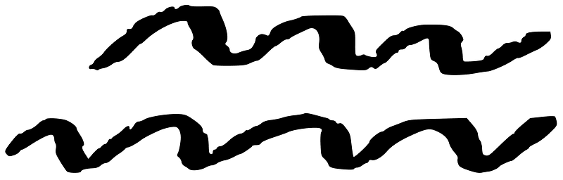 Zodiac Aquarius