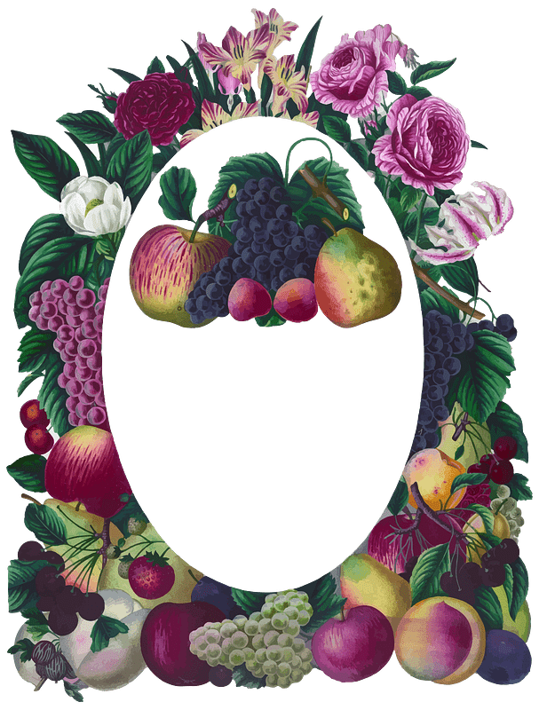 Vintage Floral and Fruit Frame