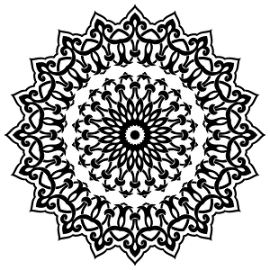 Decorative Flourish Ornament 13