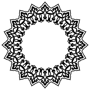 Decorative Flourish Ornament 14