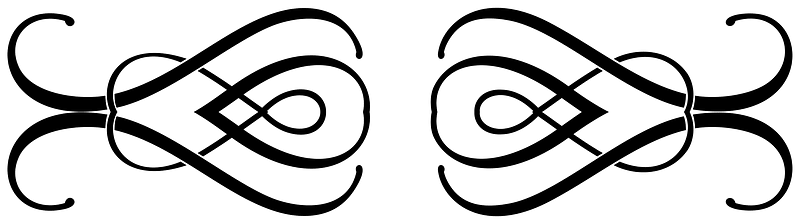 Fancy Flourish Divider 3