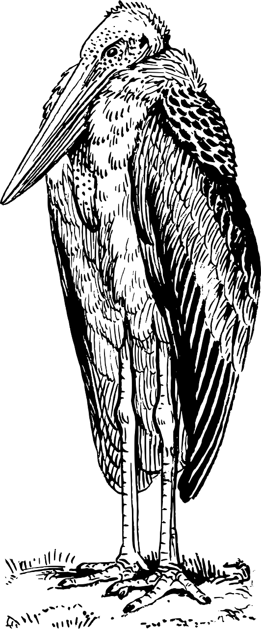 Adjutant