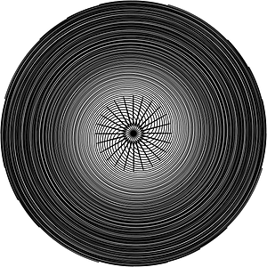 Fermatsche Spiralen