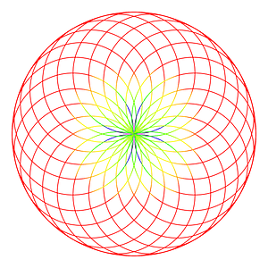 Fibonacci Dual Spiral