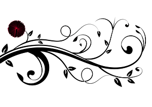 Spiral Plant