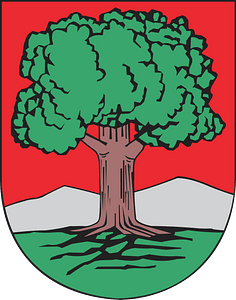 Walbrzych - Coat of Arms