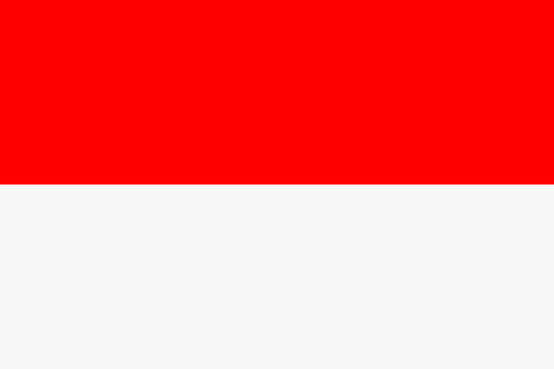 The Flag of Vienna