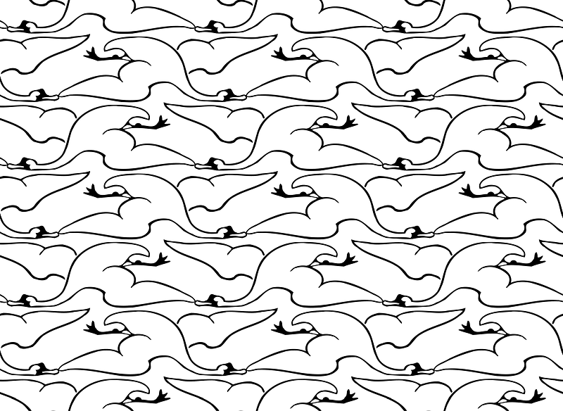 Flying Swan Pattern