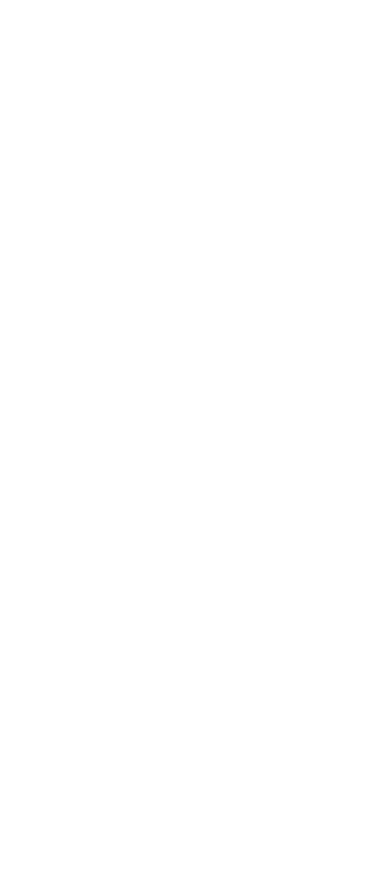 2d Chess Set - Bishop 2