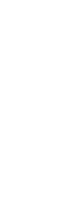 2d Chess Set - King 2