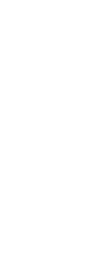2d Chess Set - King 2