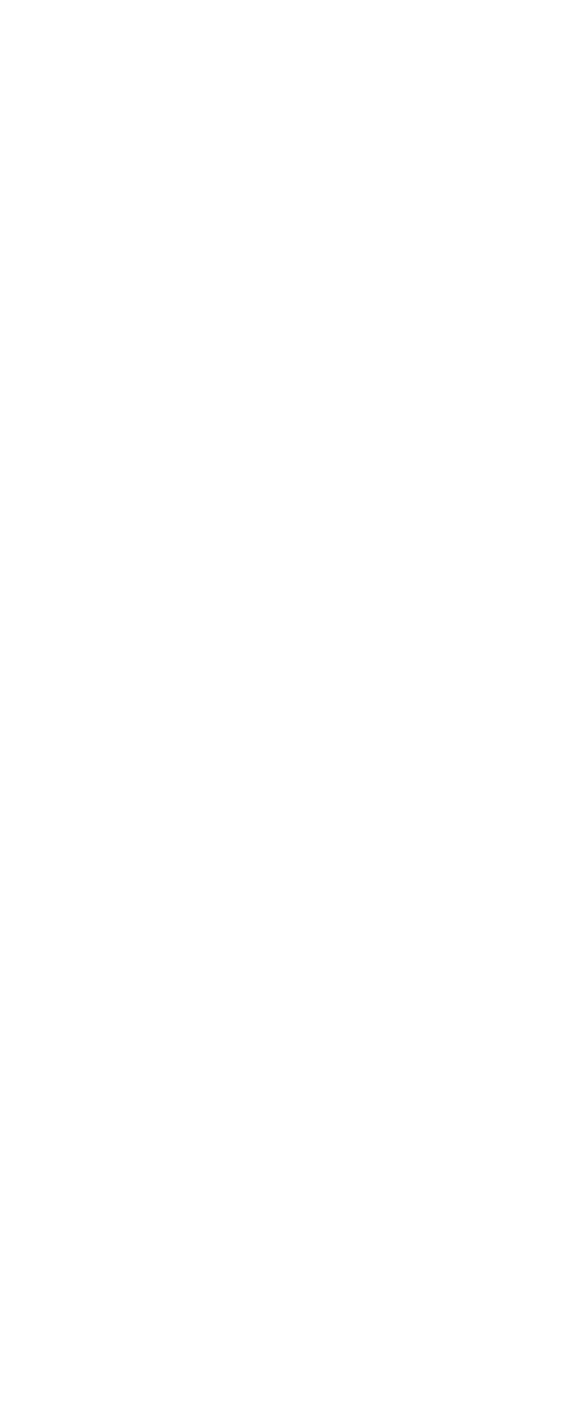 2d Chess Set - Queen 2