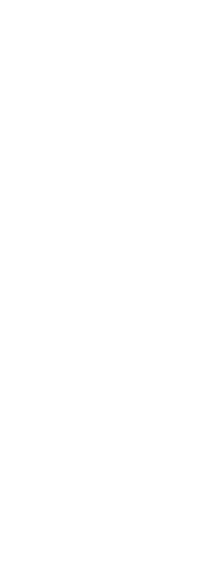 2d Chess Set - Queen 2