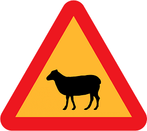 Warning Sheep Roadsign