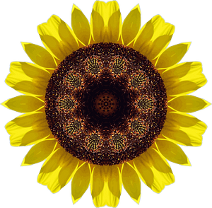 Sunflower Kaleidoscope