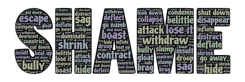 Shame Typography
