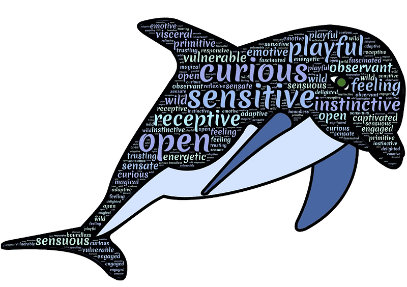 Dolphin Typography