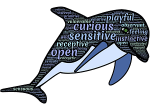 Dolphin Typography