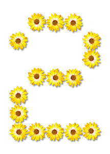 Flower Typography