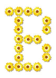 Flower Typography