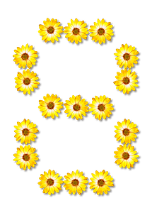 Flower Typography8