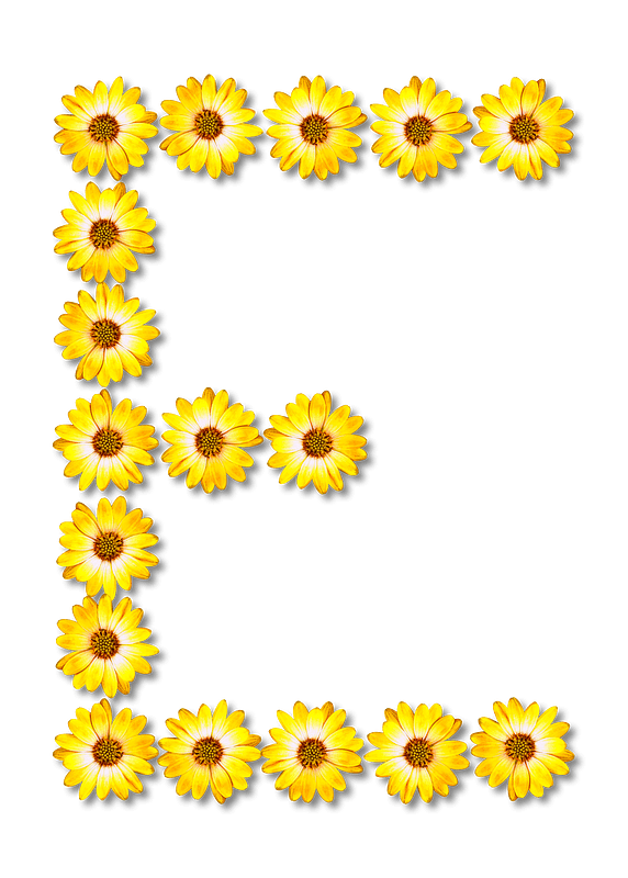 Flower Typography E